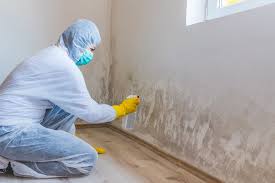 Best Commercial Mold Inspection  in Parkland, FL