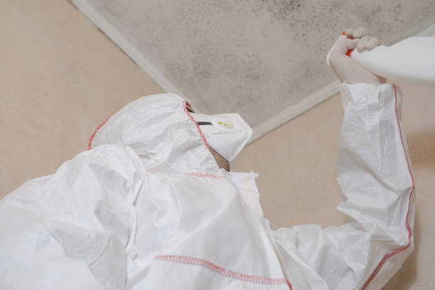 Best Attic Mold Removal  in Parkland, FL